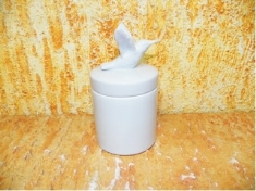 Foto Pote  beija-flor 1a     19,5 x 9,0 