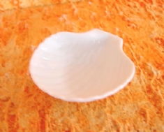 Foto Casquinha de siri de Porcelana com relevo  3,0 x 8,5 
