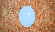 Foto Placa oval 233  21,0 x 15,0   sem furo