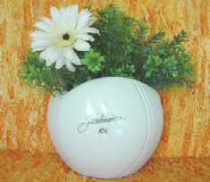 Foto Jardineira 10 a de Porcelana 18,5 x 22,0 utilitario 