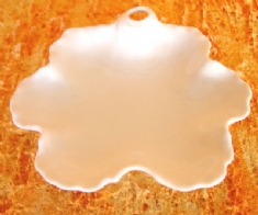 Foto Prato de Porcelana 5 