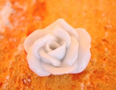 Foto Rosa 1 de Porcelana  1,0 x 3,2 