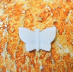 Foto Borboleta de Porcelana 1  