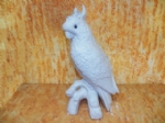 Foto  passaro Cacatua sem arrepio de Porcelana 38,0 x 21,0  