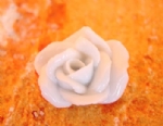Foto Rosa 1 de Porcelana 1,0 x 3,2