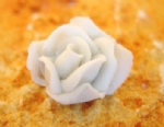 Foto Rosa 1a de Porcelana 1,0 x 2,8