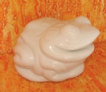 Foto Sapo de Porcelana Neia