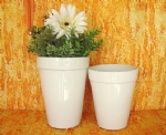 Foto Vaso de Porcelana Groenlândia 1 21,5 x 17,0